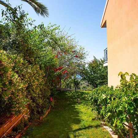 Thea Апартаменты