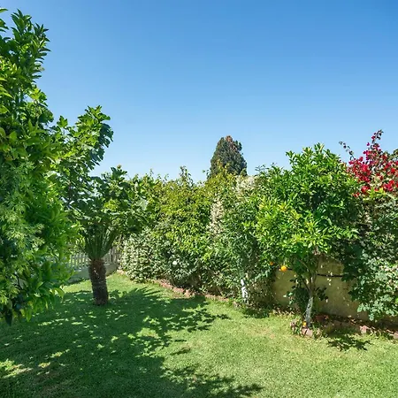 Thea Apartament Svoronata